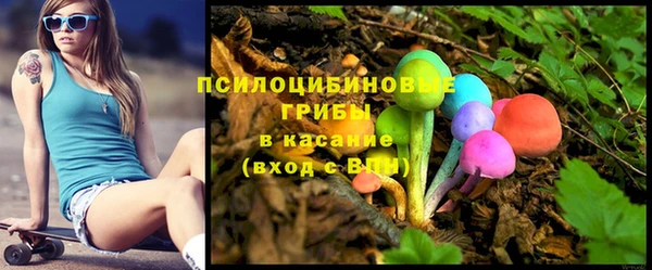 винт Арсеньев