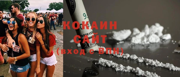 шишки Армянск
