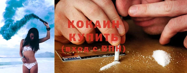 шишки Армянск
